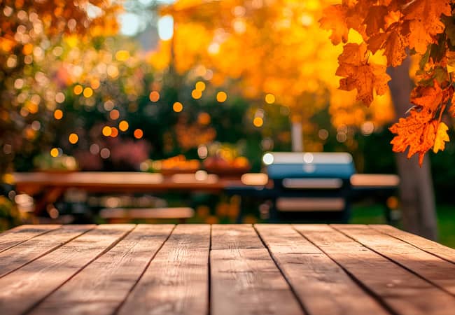 Aménager et entretenir son jardin en automne