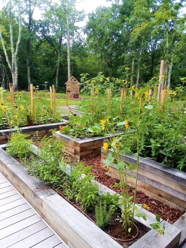 Aménagement paysager sur mesure à Saint medard en jalles